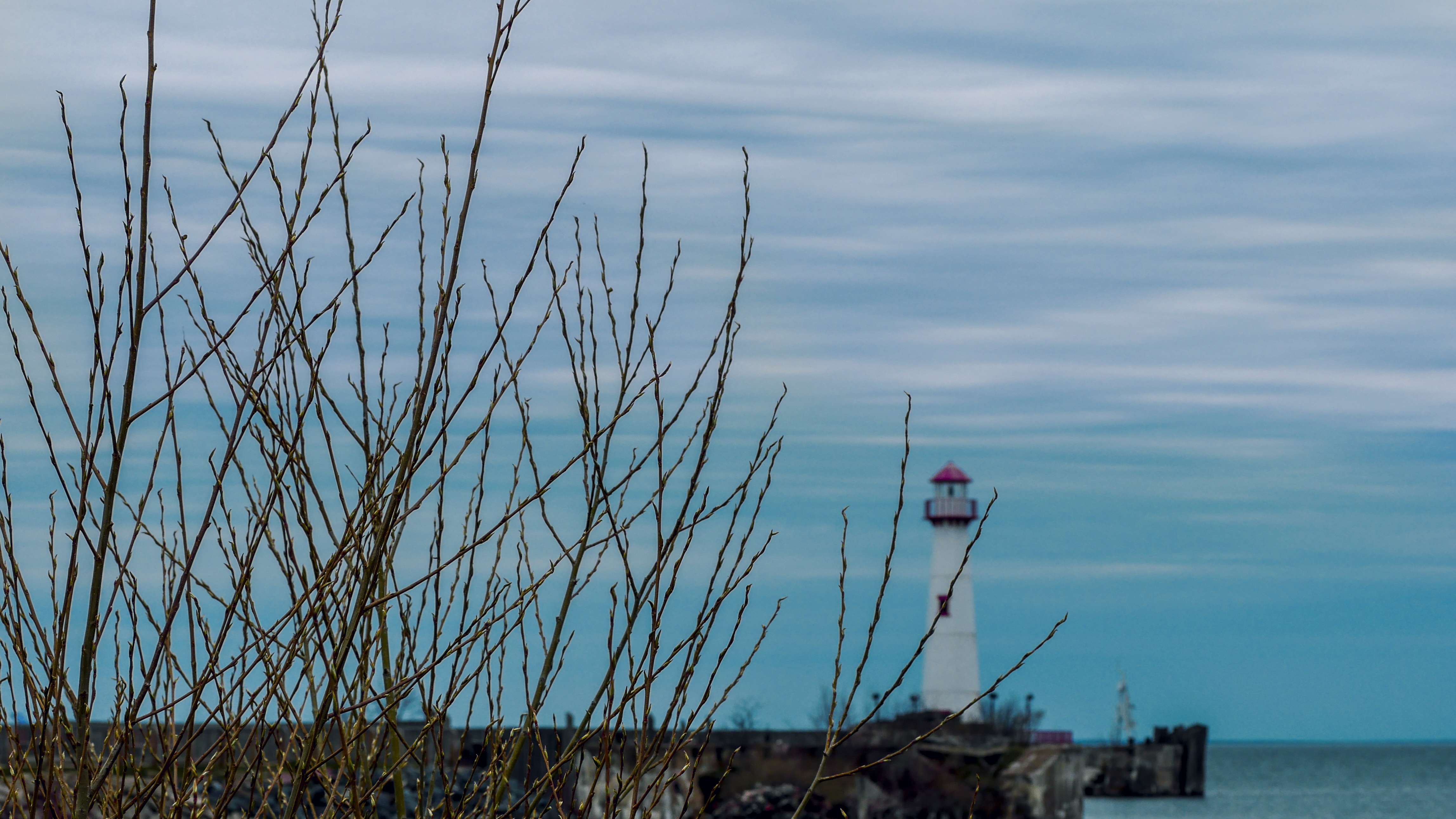Distant lighthouse viewed through bare branches